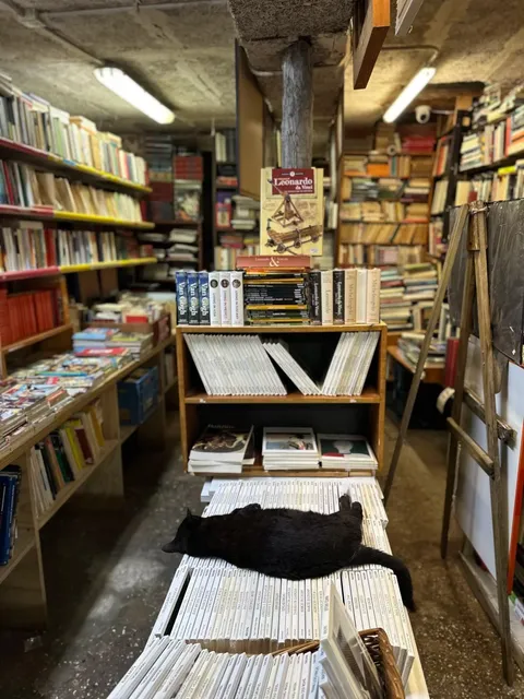 🇮🇹 Venice Travel Guide (2-3 Days) 🌊✈️