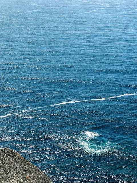 🇵🇹 Coimbra Travel Guide - Must-See Gems!