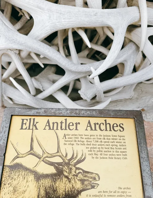 The Antler Arches in Antler Park: Jackson's Signature