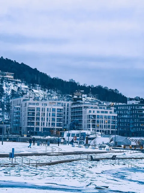 🇳🇴 Oslo Half-Day Tour | Snowy City Photo Spots!