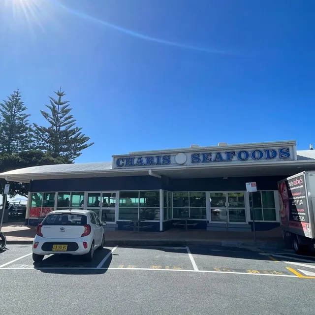 Wild life Encounters 