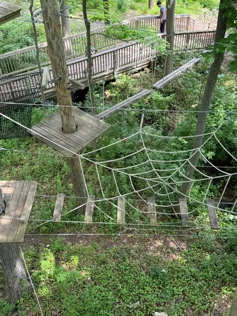 NYC Weekend Escape: Swing Like a Monkey on Ziplines!