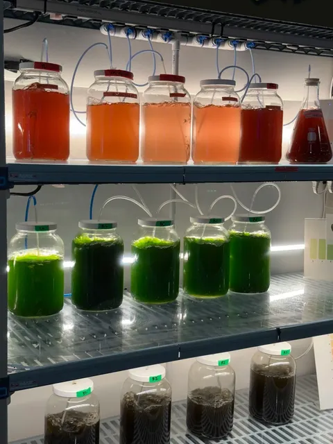 Los Angeles  📍 Cabrillo Marine Aquarium  