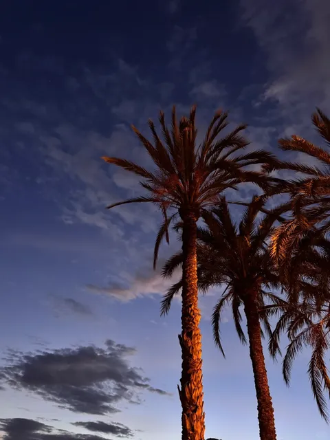  Alicante is YOUR Mediterranean Paradise!