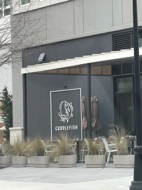 🍣【ATL Cuddlefish – Honest Review】