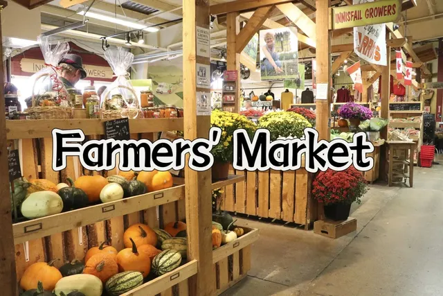 ✨🇨🇦 Calgary | Recommended Weekend Spots‼️