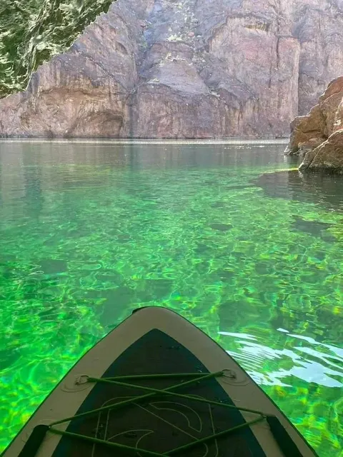 An Oasis in the Las Vegas Desert 🌿