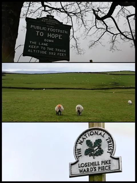 Hope Village | The Journey to Losehill