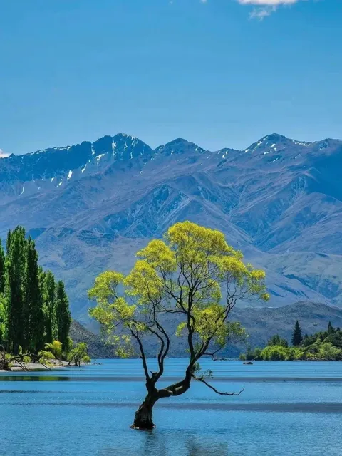 Must-Do Activities in Queenstown, New Zealand