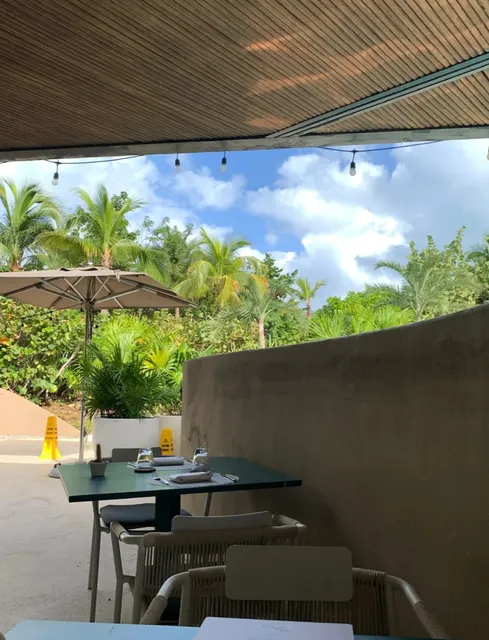 Atelier Playa Mujeres | Poolside "White People Food" Paradise