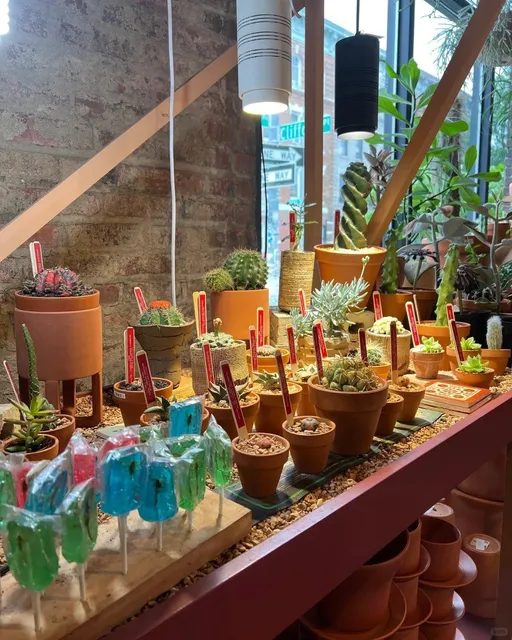 New York's Lovely Shop | Tula House 🌿