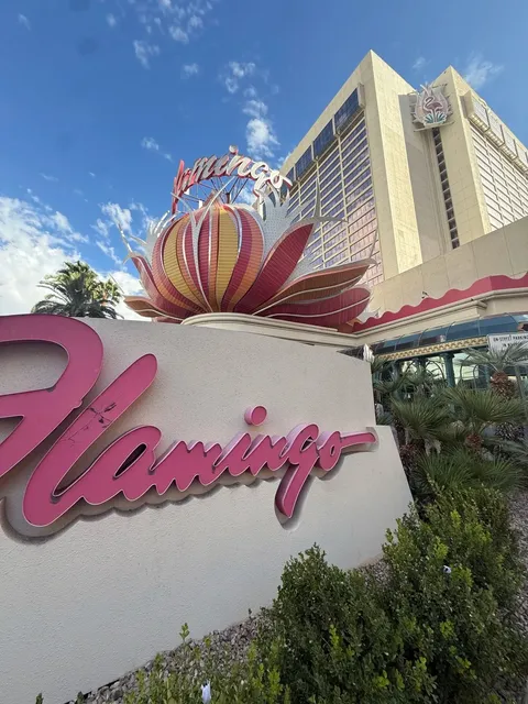 🇺🇸 Las Vegas | Flamingo Hotel & Surrounding Tour Guide