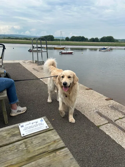 🇬🇧 Exeter Escape: Topsham Day Trip Guide