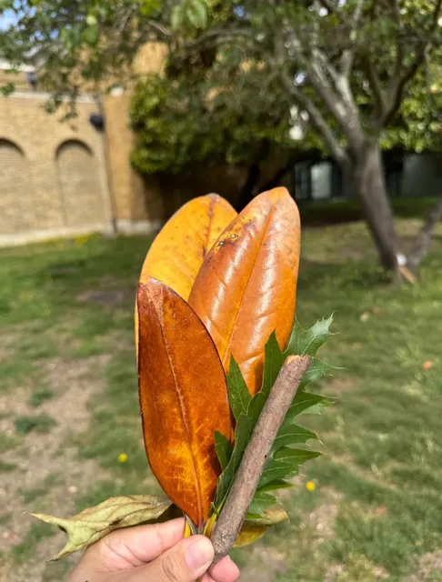  Where Tiny Artists Become Mini Picassos!​​ 🎨👶