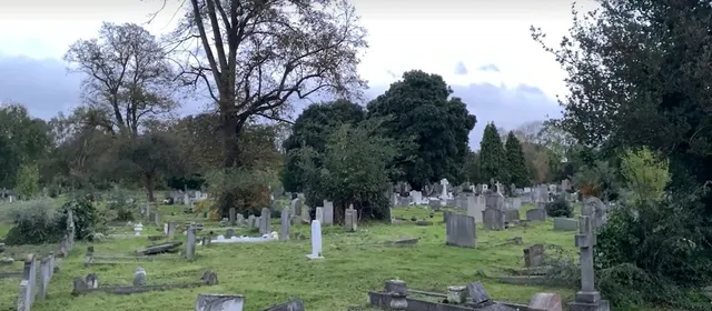  Kingston’s Hidden Artistic Sanctuary: Skeleton Park Sketching Guide 