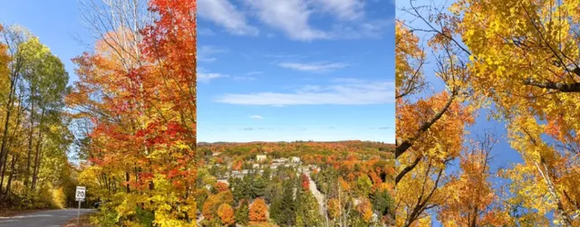 Muskoka Travel Guide | Must-Save for Your Next Trip 🌟🍁