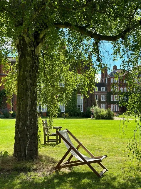 🌿 From Campus to Summer