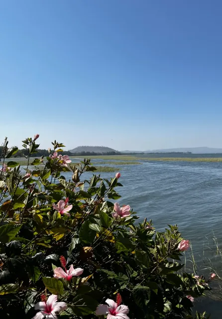Hawassa’s Lake: 20 Minutes of Calm Before Coffee Country  ❤️