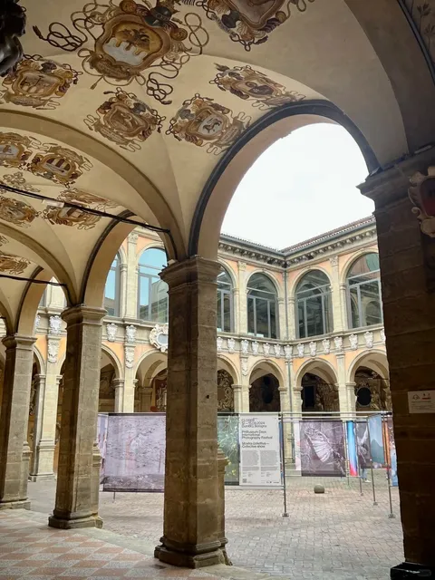 🇮🇹 Bologna: Italy's Timeless Treasure 🏛️✨