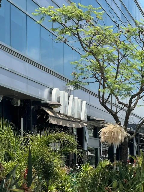 Buenos Aires | Chana Club & Bar: Where Food Meets Nightlife Vibes! 🍸