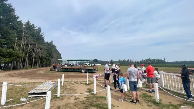 ​​Blueberry Picking Round 1 in Barrie! 🫐​​
