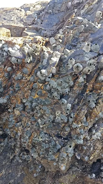 Rockhampton - Queensland’s Beef Capital ✨