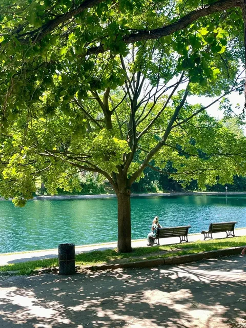 Immersive Summer Vibes in Montreal 🌳☀️