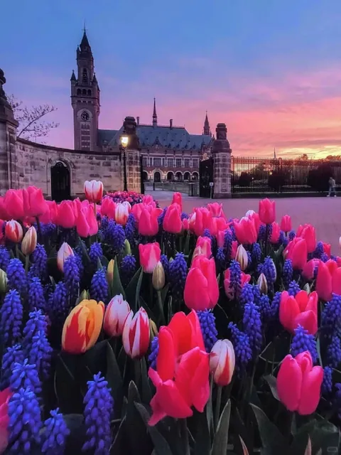 🇳🇱 Discover The Hague (Den Haag) in 1 Minute! 💕