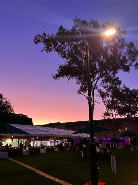 I'm so in love with the Gold Coast that I can't see it realistically