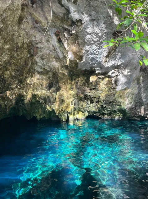 Tulum Cenotes: A Slice of Paradise in Mexico 🇲🇽✨