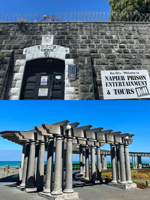 Napier 1⃣️｜The Raw Beauty is Stunning! ✨