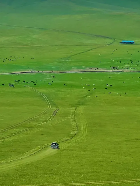 Life Advice: You MUST Visit Hulunbuir in Summer! 🌿💙