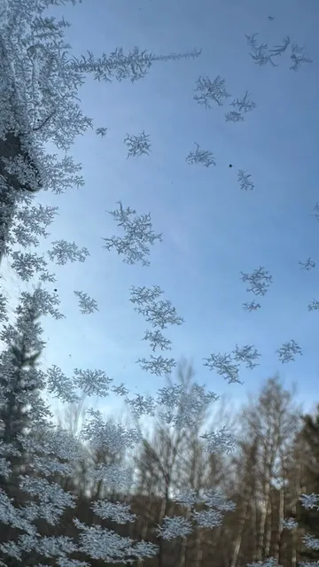 A Texan's Early-Season Guide to Denver's Top 3 IKON Resorts 🎿