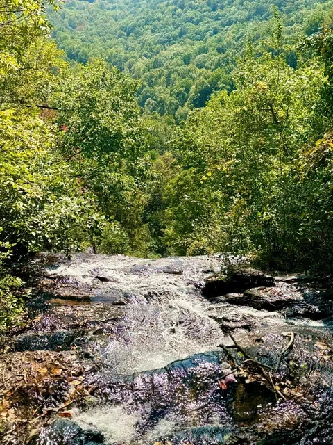 Summer in the Appalachian Mountains 🍃⛰️