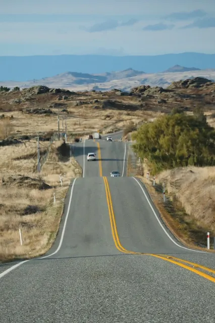 🇳🇿 Day 4: Dunedin One-Day Itinerary