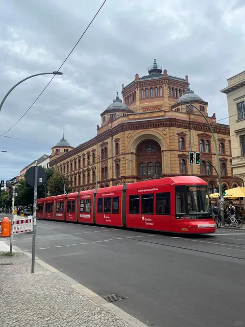 Must-Try Vietnamese Pho in Berlin❗️