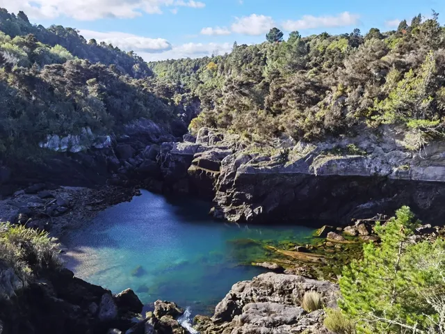 🇳🇿 Ultimate North Island Guide: Taupo + Hidden Gems! 