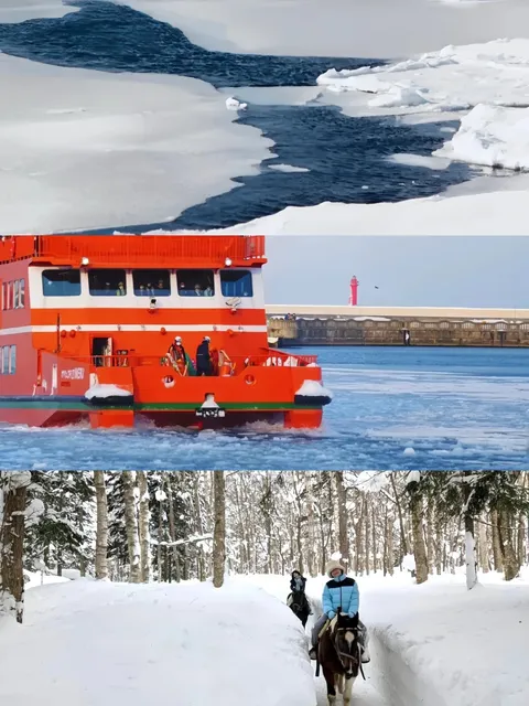 Don't Just Go to Hokkaido for Skiing and Risks! ❗🎿