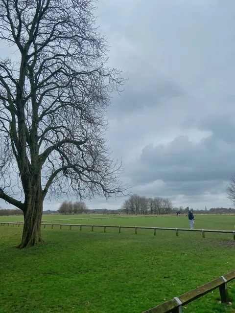 🇬🇧 Coombe Country Park: A Peaceful Escape Near Coventry! 🌳🦢