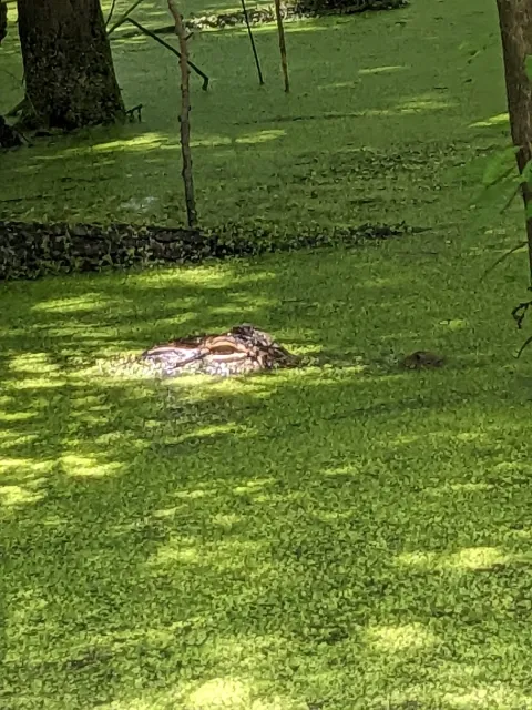 Absolutely Awesome!! 🚣‍♀️✨