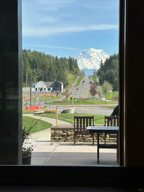 Seattle Day Trip | Tacoma: Chasing the Best Views of Mt. Rainier 🏔️📸