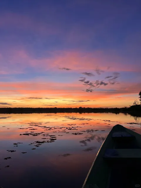 🌿 Amazon Rainforest Adventure: Hiking & Camping in Manaus