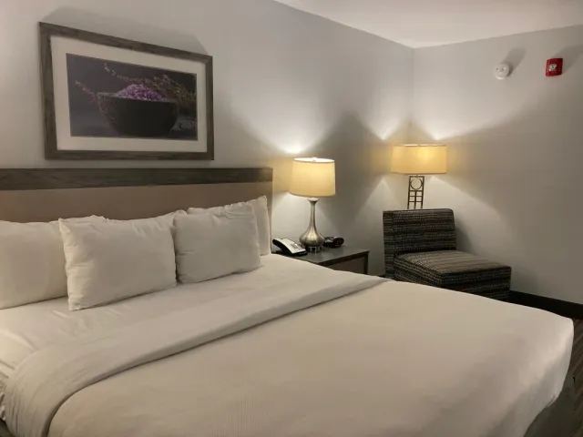 Affordable & Cozy Stay in Williamsburg! 🏛️