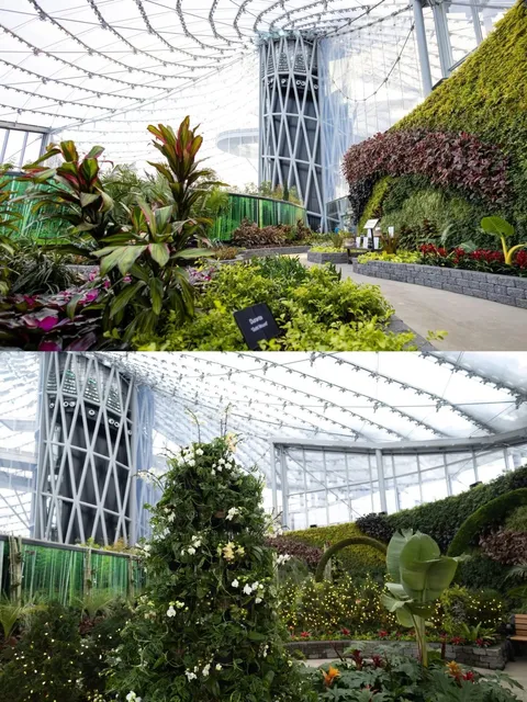  Tale - Like Park The Best Spring Check - in Spot 🥰