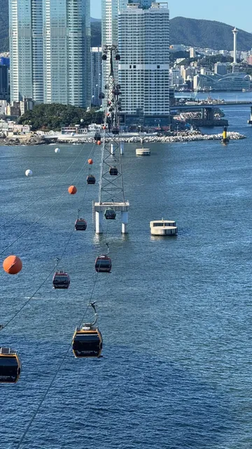 Do Busan Locals Ever Have Worries?🌊.