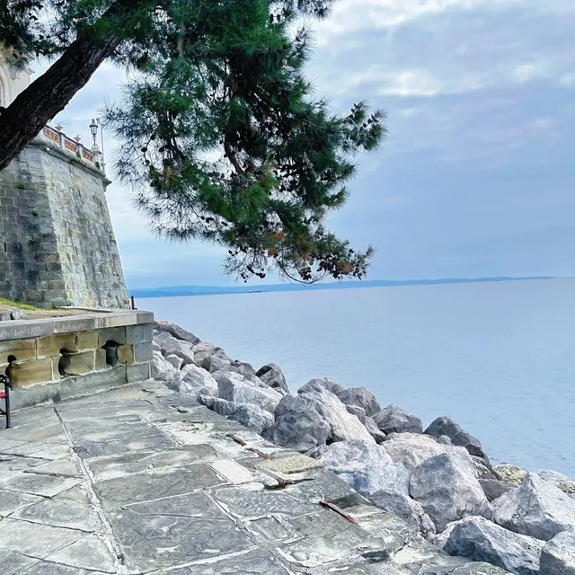 Miramare Castle: A Lonely Fairytale on the Adriatic Cliffs 🌊🏰