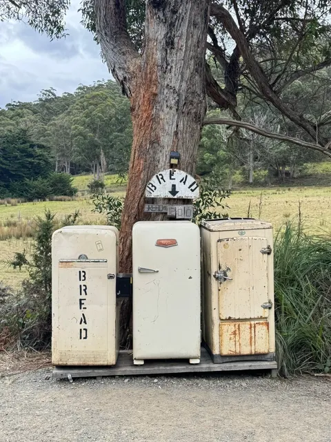 Hobart｜Chasing the Milky Way at the Edge of the World 🌌