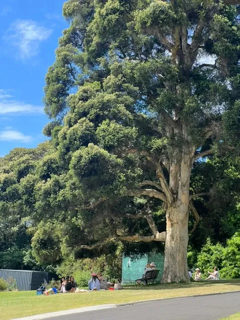  Melbourne City Walk: Iconic Route for Photos & Fun!