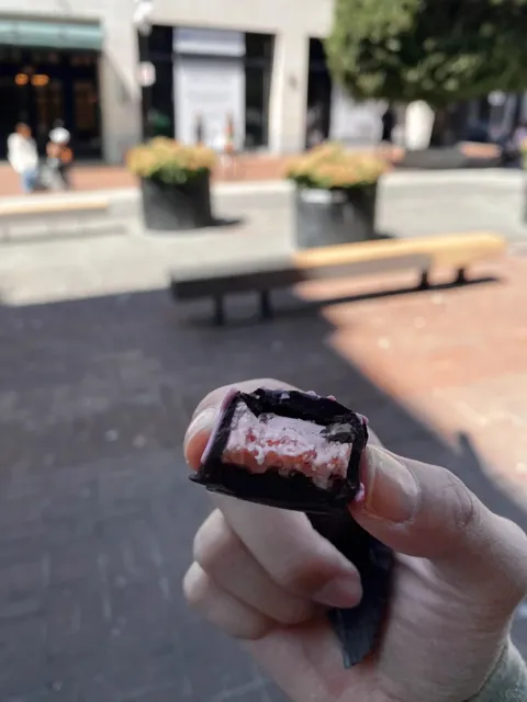 🇨🇦 Vancouver Island｜📍 Victoria City Walk 🎬💙