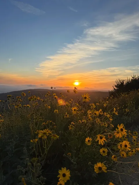 Top of the World｜Breathtaking Sunset Views! 🌅